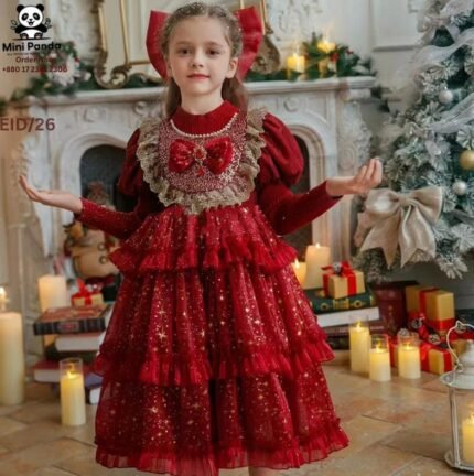 Burgundy Princess Party Gown